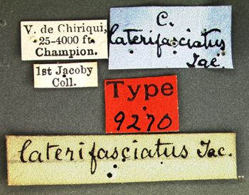 Media type: image; Entomology 9270   Aspect: labels